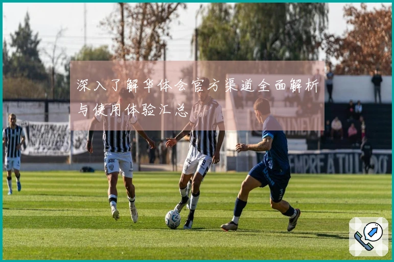 深入了解华体会官方渠道全面解析与使用体验汇总