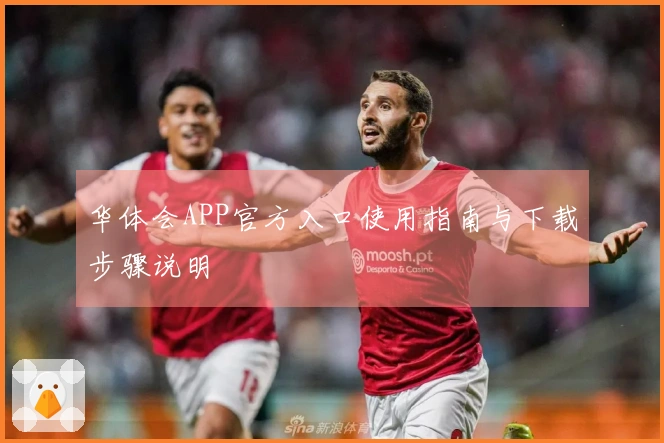 华体会APP官方入口使用指南与下载步骤说明