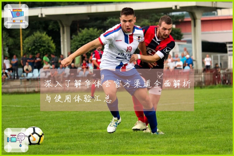 深入了解华体会官方渠道全面解析与使用体验汇总